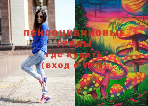 спиды Кущёвская
