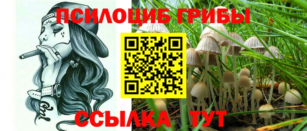 Псилоцибиновые грибы мухоморы Асбест