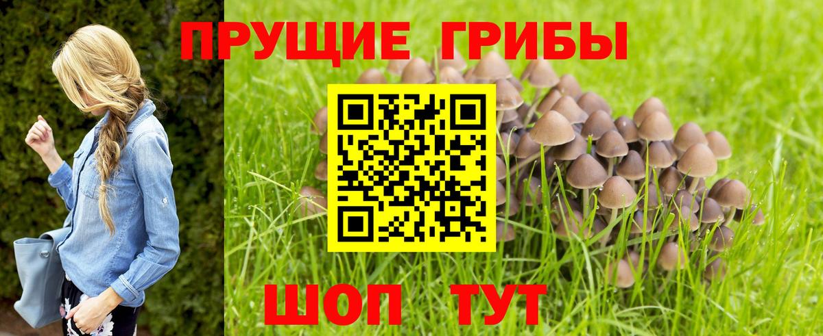 COCAIN  Гашиш  МЕФ кристаллы  Асбест  MDMA  ЭКСТАЗИ  Меф МЯУ МЯУ  Вход с VPN  Вейп ТГК 